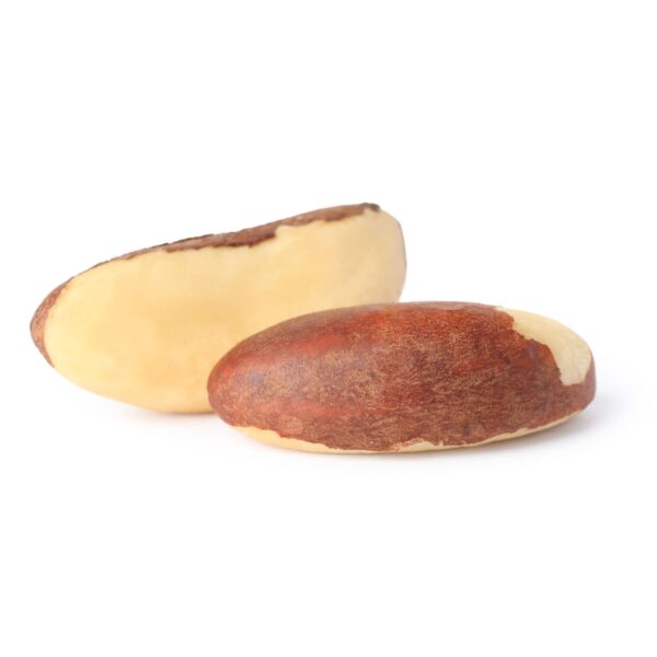 Brazil-nut Brazil Nuts
