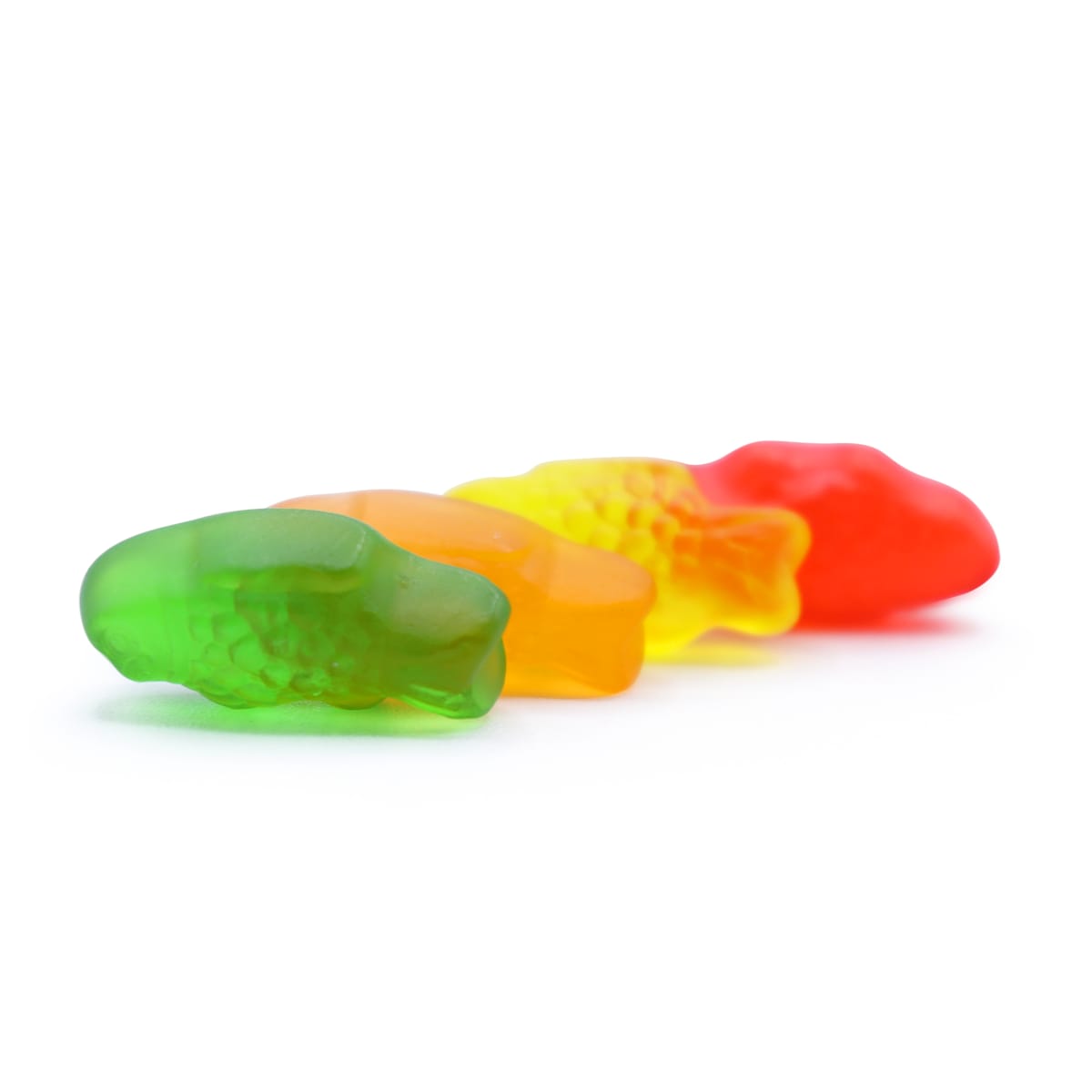 Gummy Candy Assorted Mini Fish fresh by the pound