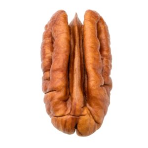 Pecan Halve Single Pecan-halve-single Pecans