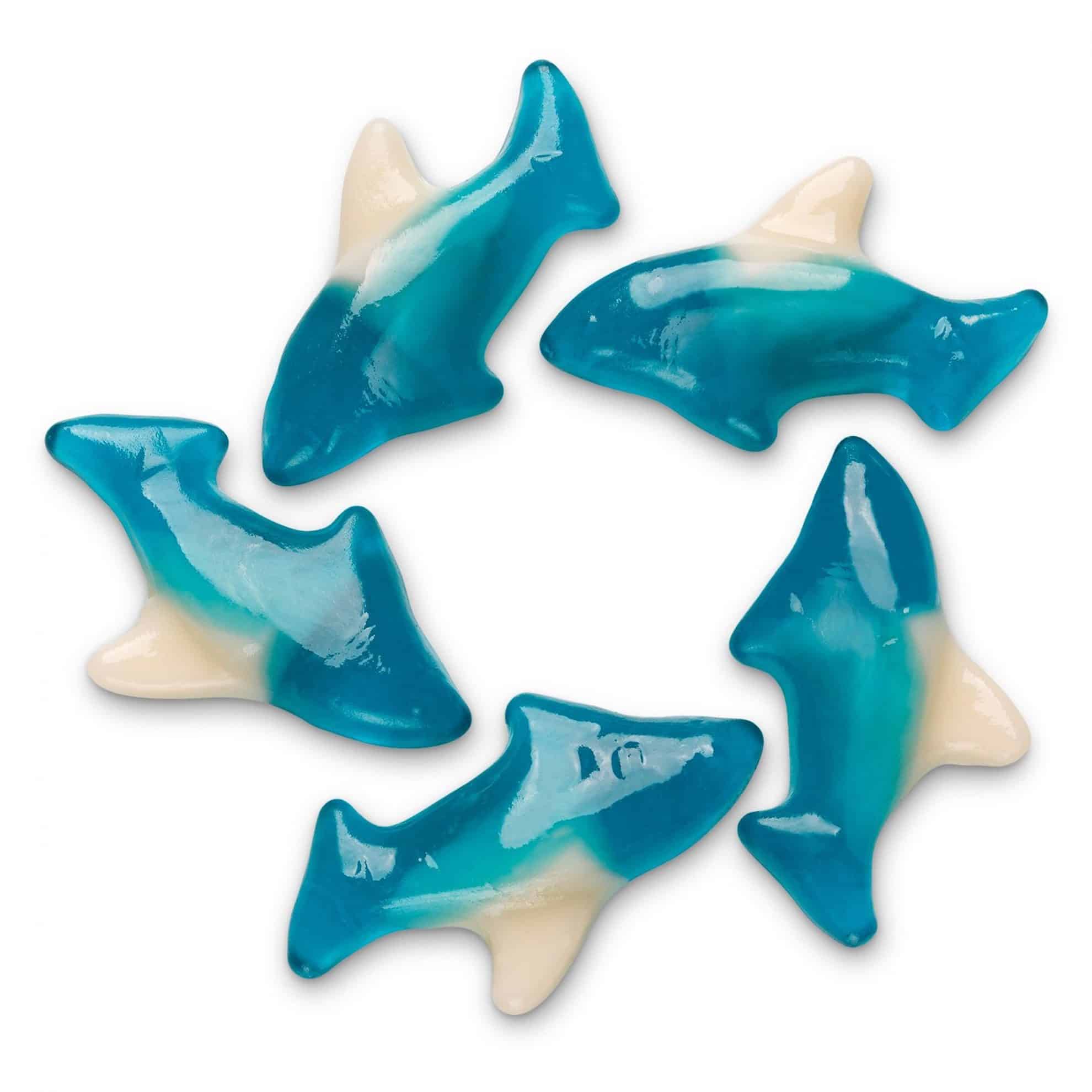 Raspberry Blue Shark Gummies Candy | LorentaNuts.com
