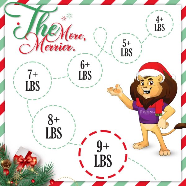 9-pound-christmas-gift-set-lorentanuts Com Holiday Gifts