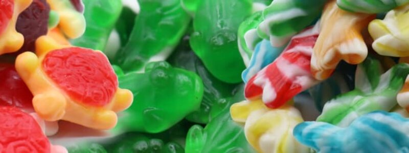 Animal-shaped-candy-blog-lorentanuts.com - Animal Shaped Candy | L’Orenta Nuts