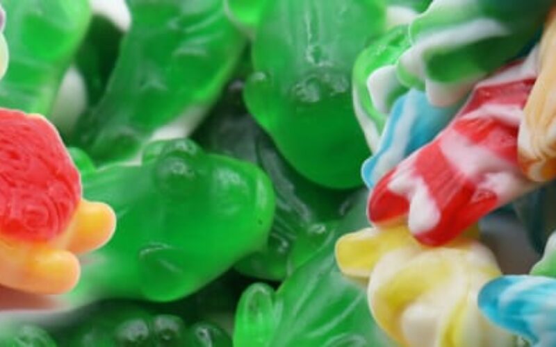 Animal-shaped-candy-blog-lorentanuts.com - Animal Shaped Candy | L’Orenta Nuts