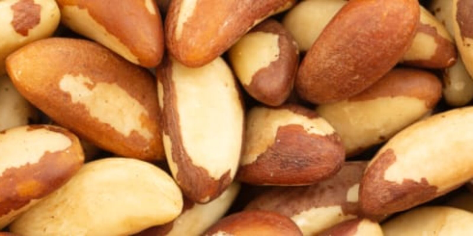 Your Guide to Brazil Nuts