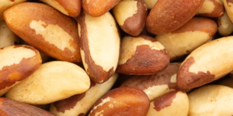 Brazil Nuts Health Benefits Lorentanuts.com 