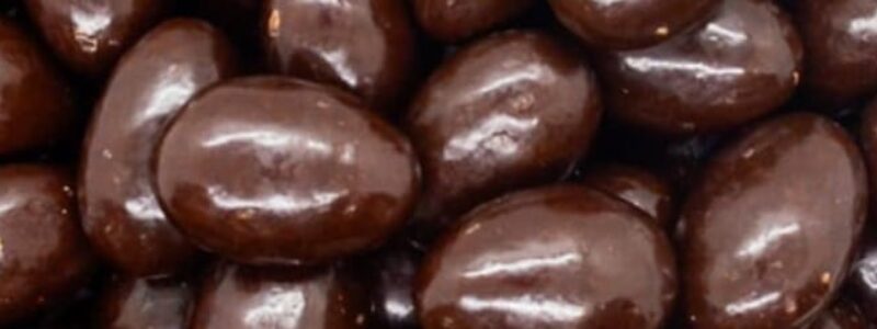 Chocolate-almonds-blog-lorentanuts.com - Enjoy Chocolate Covered Almonds | L’Orenta Nuts