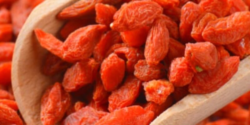 Goji Berries Health Benefits Blog