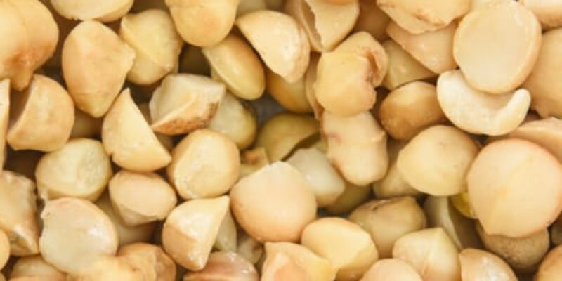 Are Macadamia Nuts Heathy?