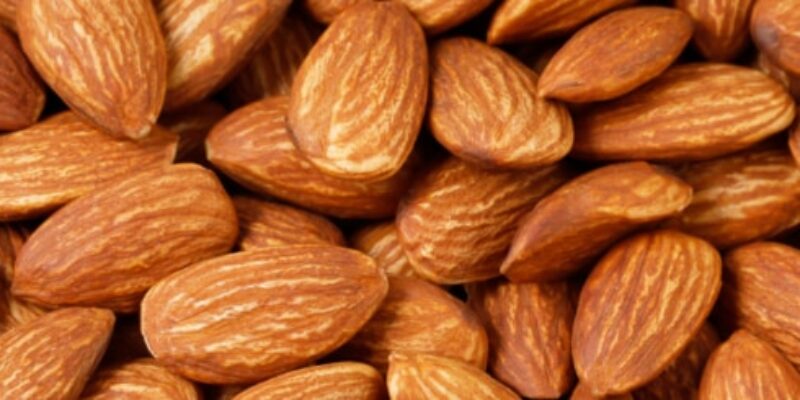 Raw Almonds Blog Lorentanuts.com 