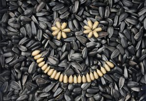 Sunflower-seeds1 - Health Benefits of Sunflower Seeds | L’Orenta Nuts