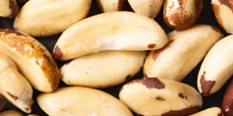 Brazil Nuts Blogs Lorentanuts.com 