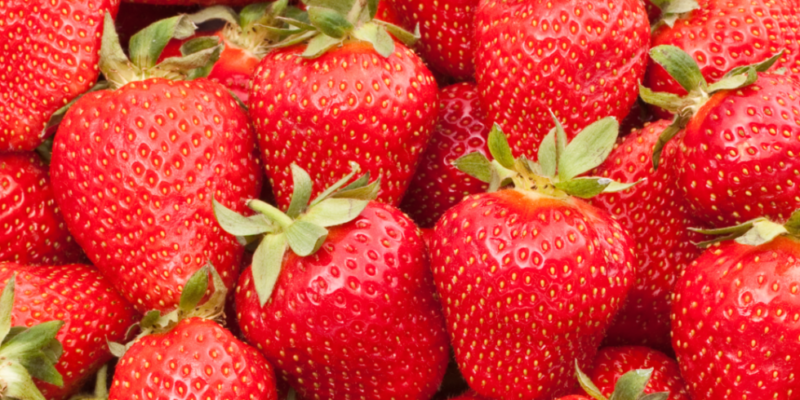 Strawberries Health Blog Lorentanuts.com 