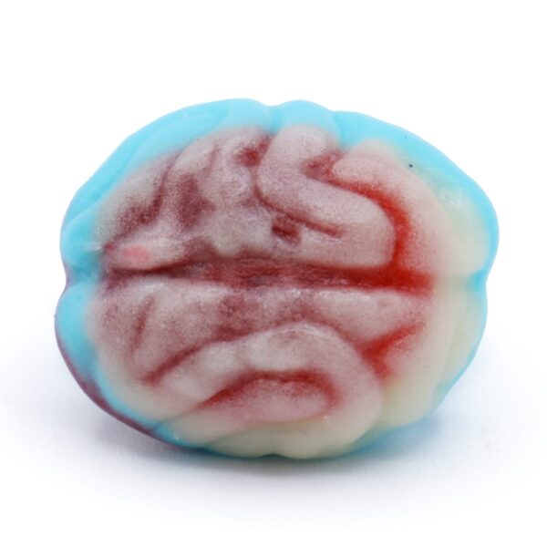 Gummy Brain Individual www.lorentanuts.com