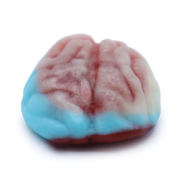 Gummy Brain Perspective Single www.lorentanuts.com